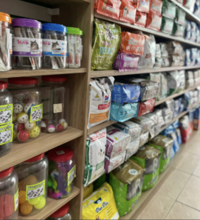 Brinquedos Divertidos